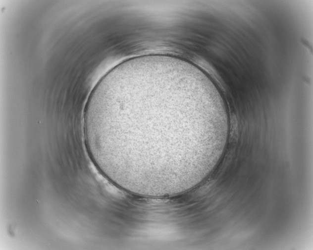 X0000101471439200808041055