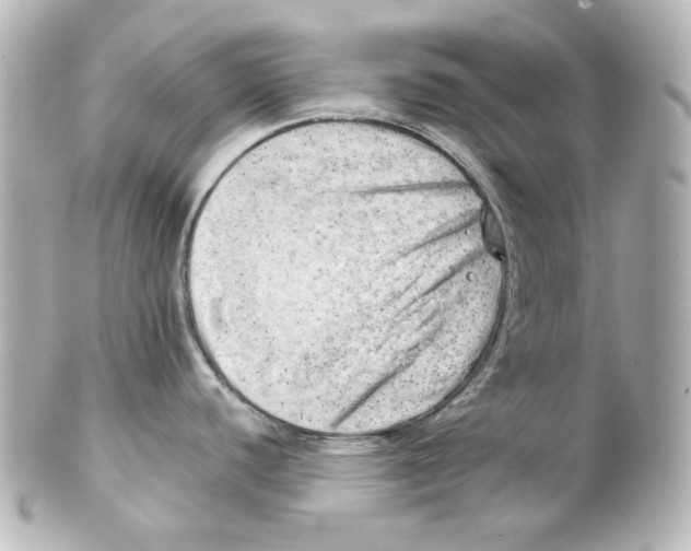 X0000101471440200808041055