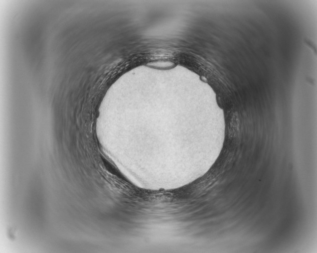 X0000101471441200808041054