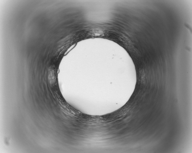 X0000101471442200808041054