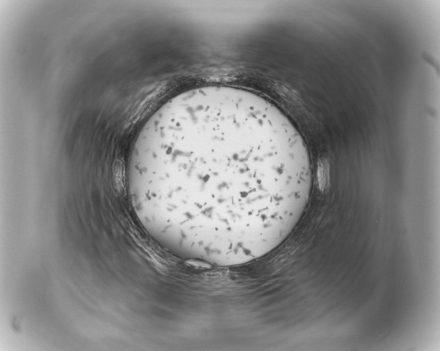 X0000101471444200808041054