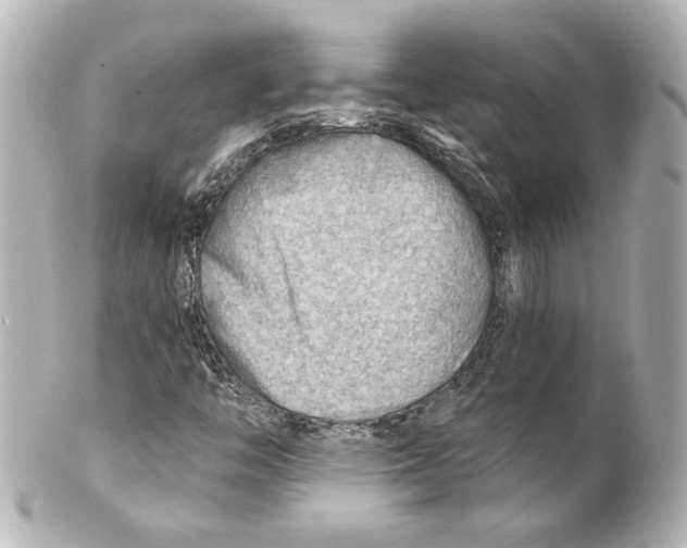 X0000101471446200808041054