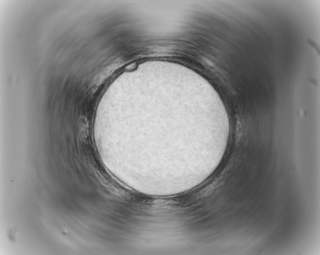 X0000101471449200808041054