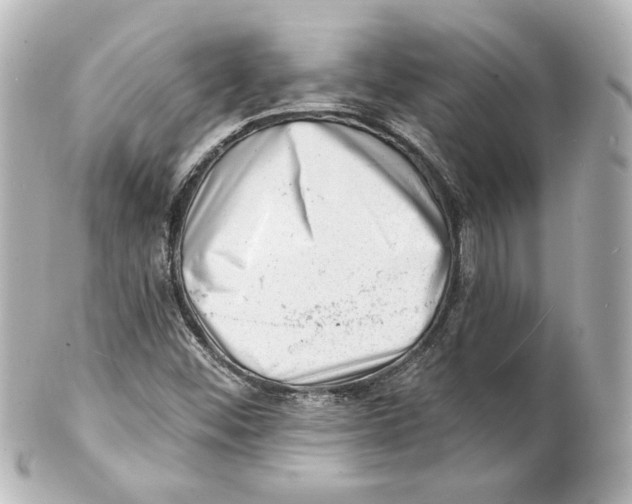 X0000101471452200808041054