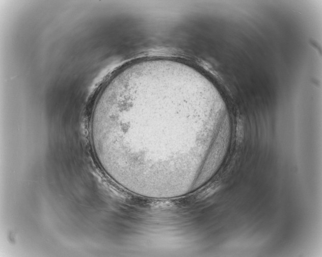 X0000101471454200808041054