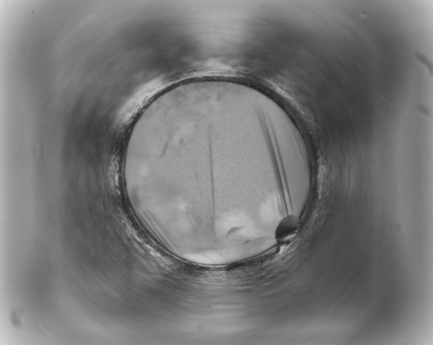 X0000101471455200808041054