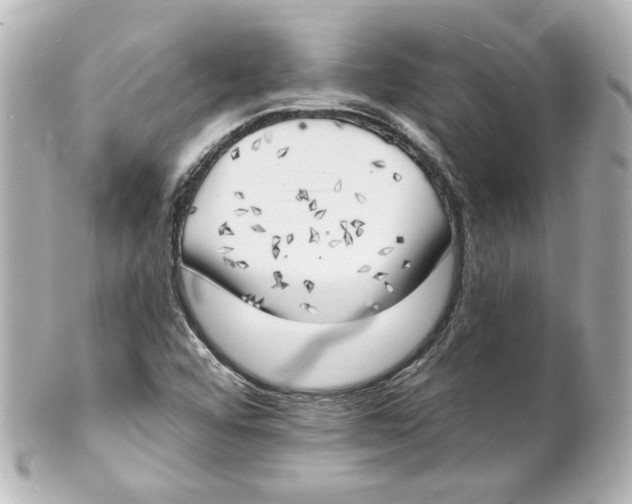 X0000101471456200808041054