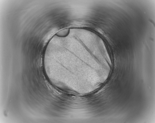 X0000101471459200808041054