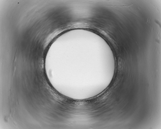 X0000101471461200808041054