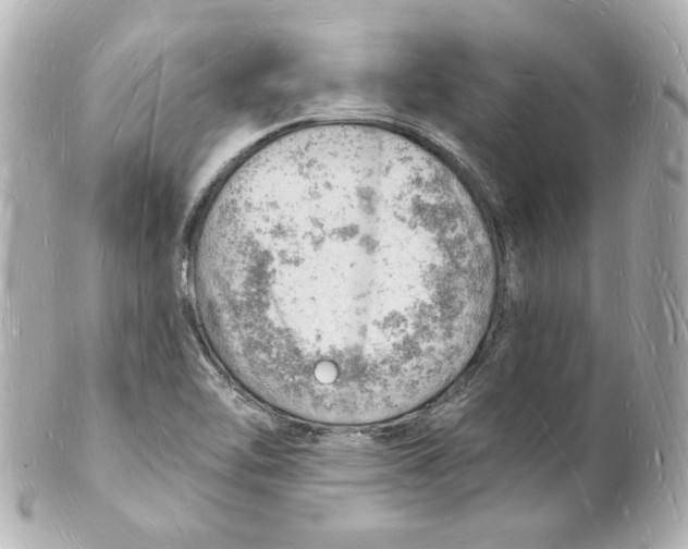 X0000101471462200808041054