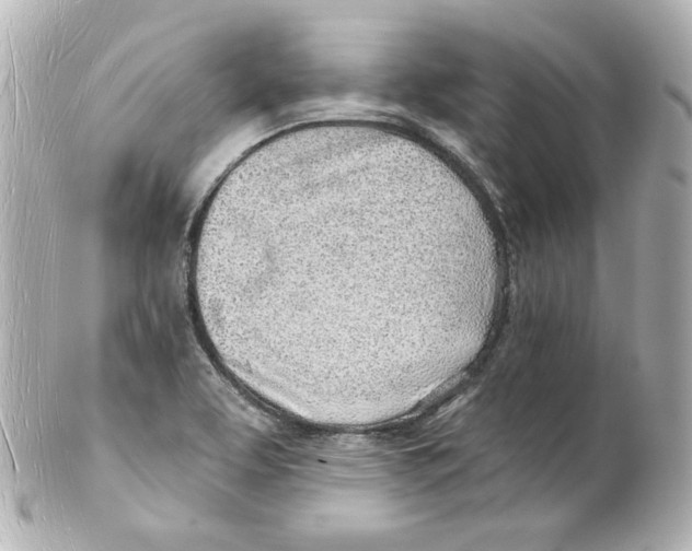 X0000101471463200808041054