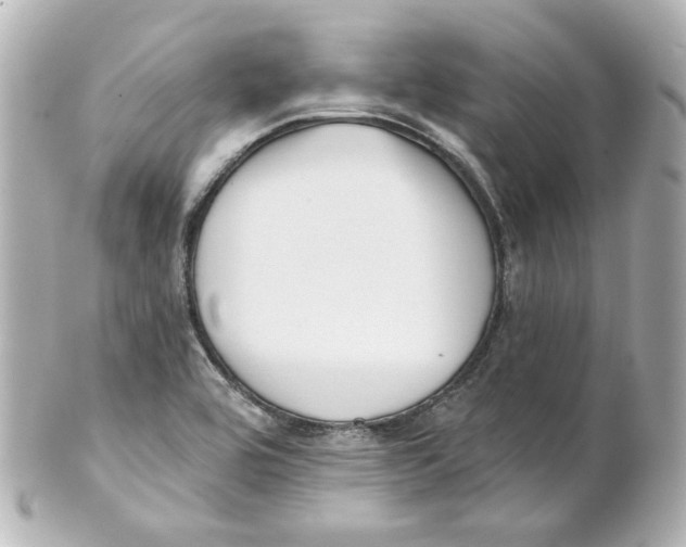 X0000101471464200808041054