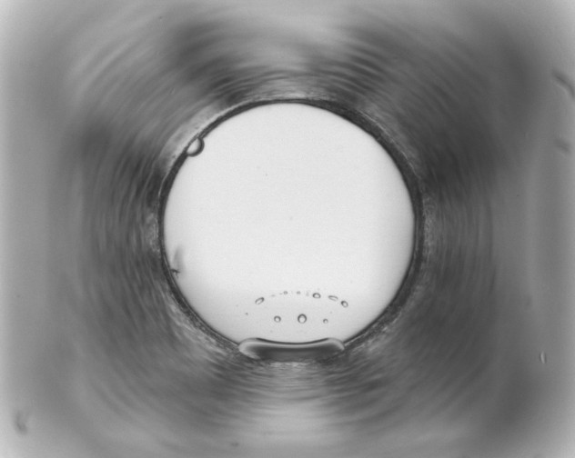 X0000101471465200808041054