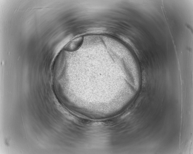 X0000101471467200808041054