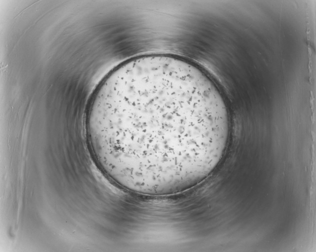 X0000101471468200808041054