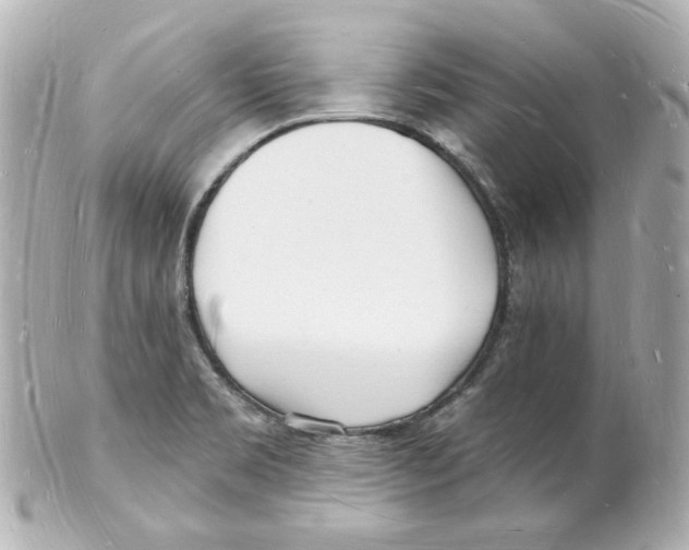 X0000101471469200808041054