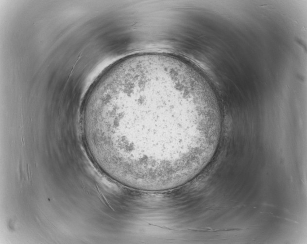 X0000101471470200808041054