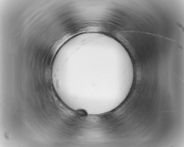 X0000101471473200808041054