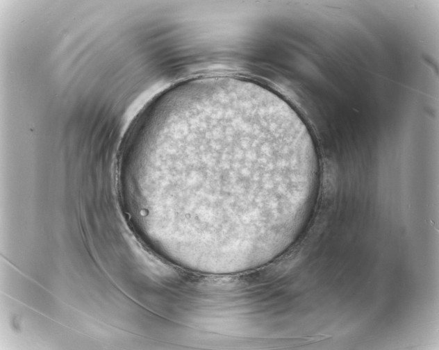 X0000101471474200808041054