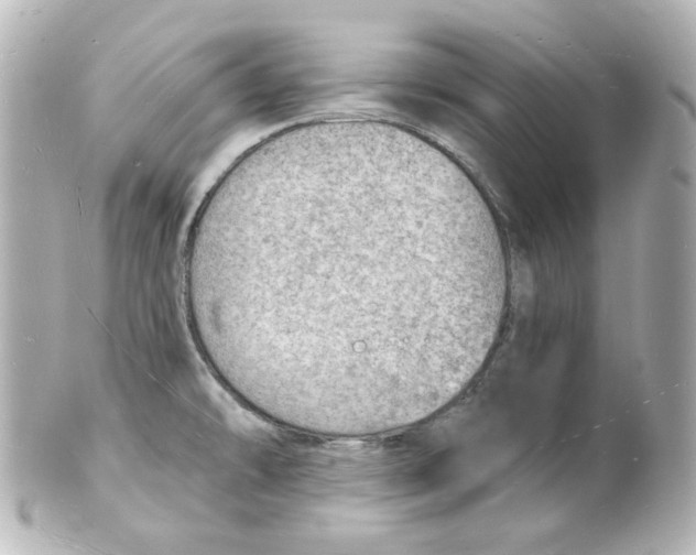 X0000101471478200808041054