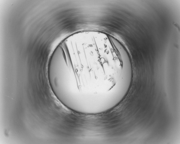 X0000101471480200808041053