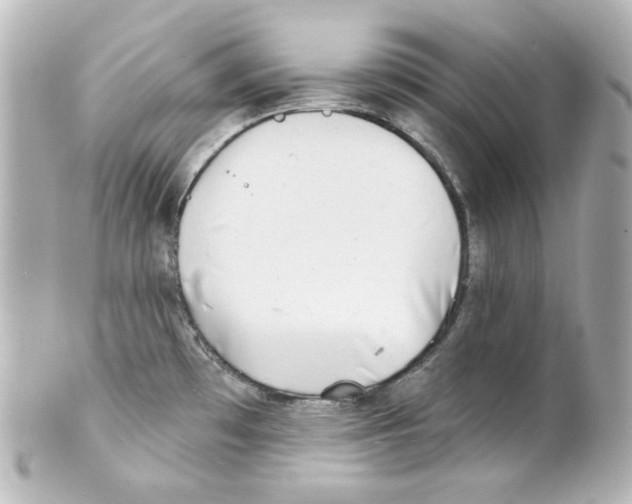 X0000101471481200808041053