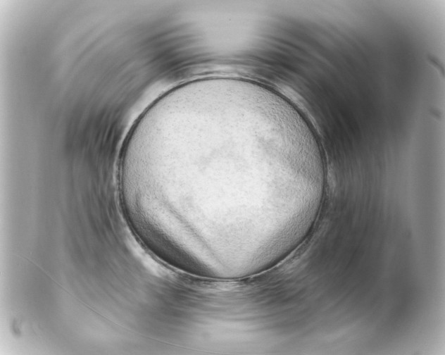 X0000101471482200808041053