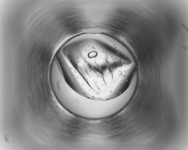 X0000101471484200808041053