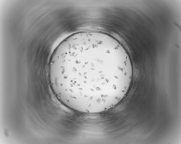 X0000101471486200808041053