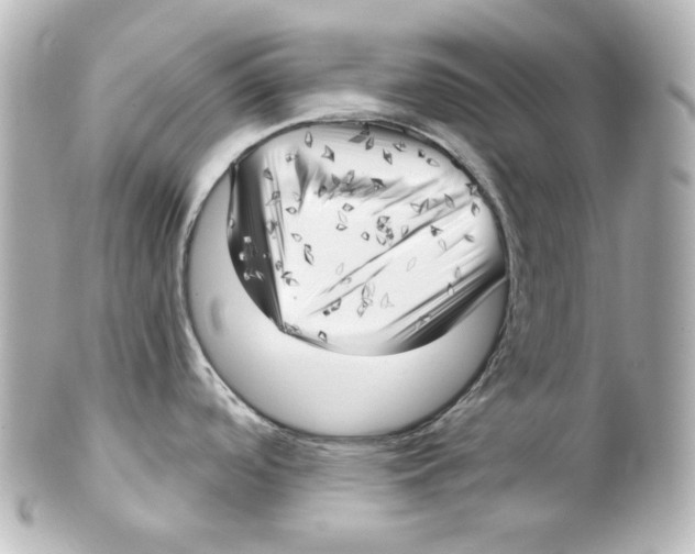 X0000101471488200808041053