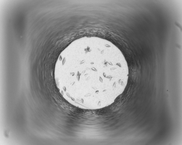 X0000101471489200808041053