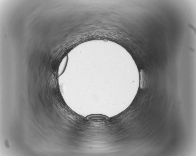 X0000101471491200808041053