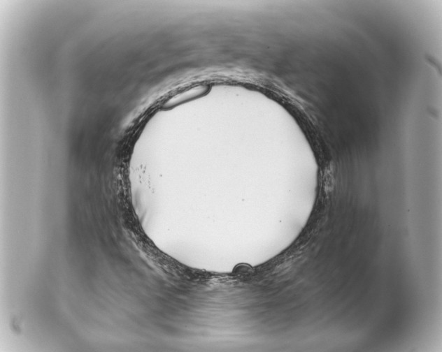 X0000101471496200808041053