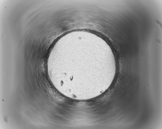 X0000101471497200808041053