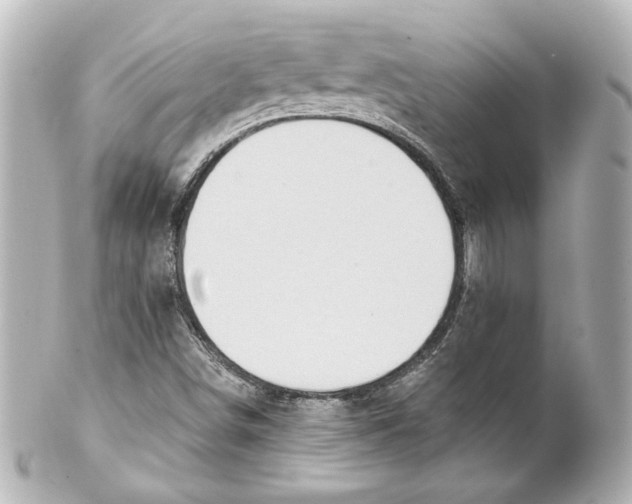 X0000101471498200808041053