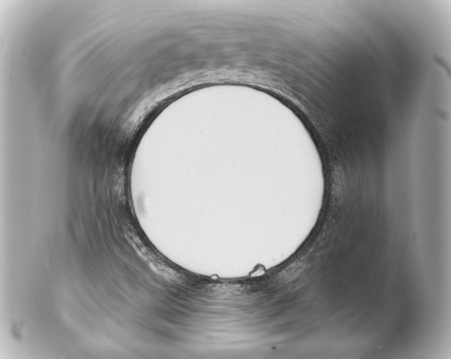 X0000101471499200808041053