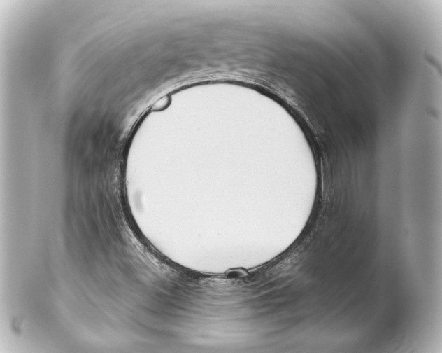 X0000101471500200808041053