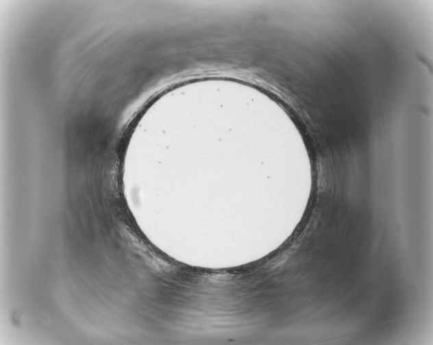 X0000101471502200808041053