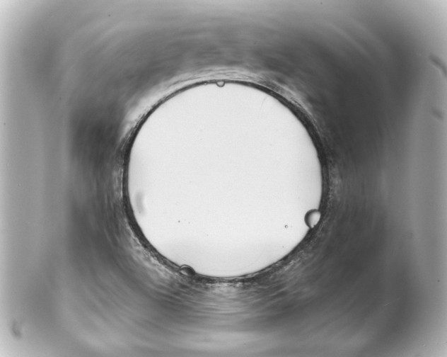 X0000101471504200808041053