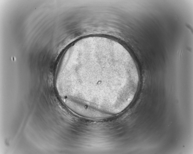 X0000101471505200808041053