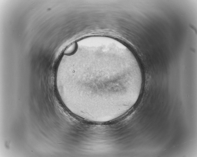 X0000101471506200808041053