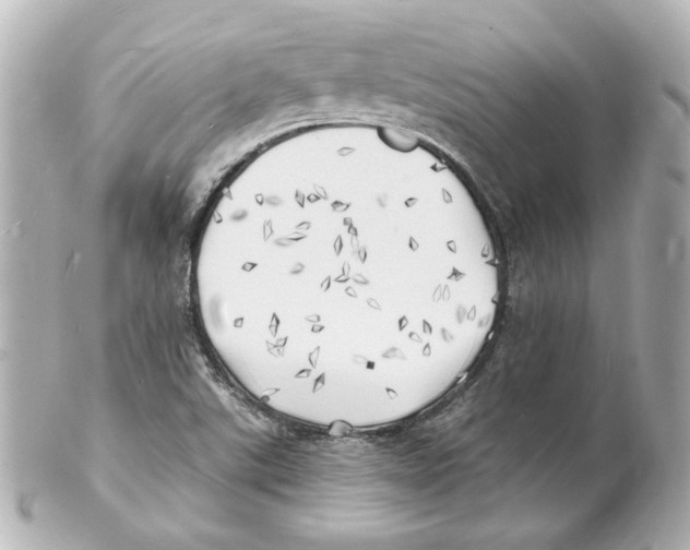 X0000101471507200808041053