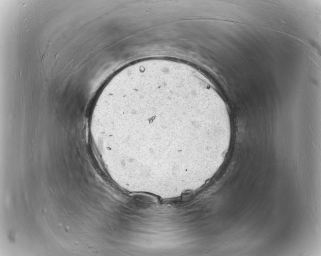 X0000101471509200808041053