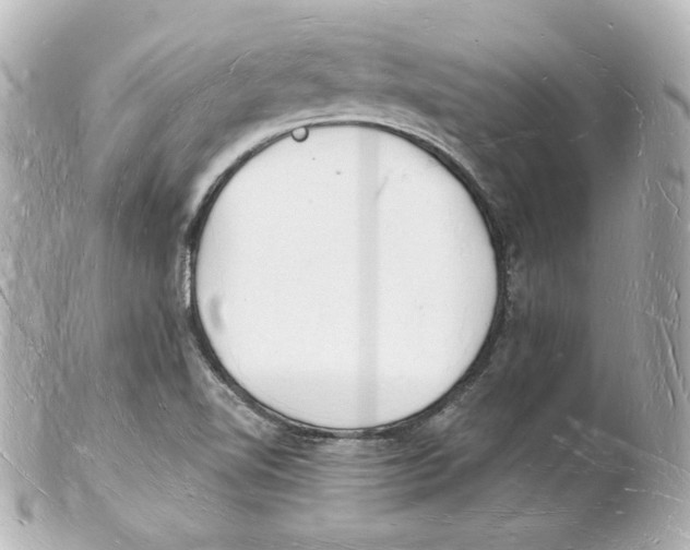 X0000101471510200808041053