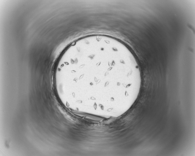 X0000101471511200808041053