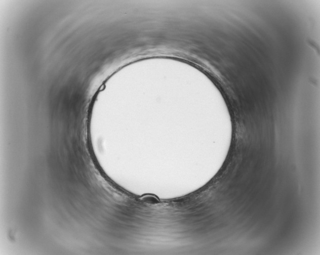 X0000101471512200808041053