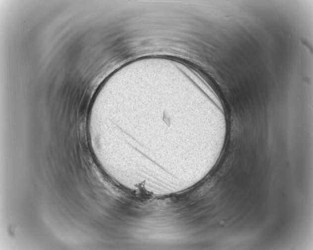 X0000101471513200808041053