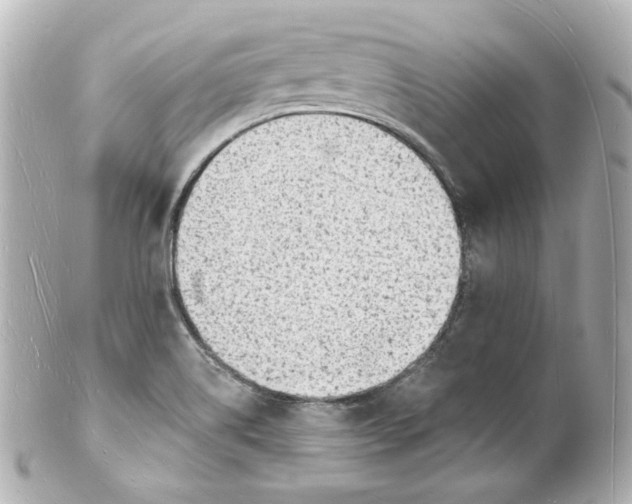 X0000101471514200808041053