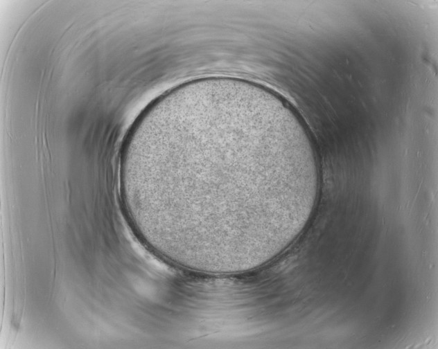 X0000101471515200808041053