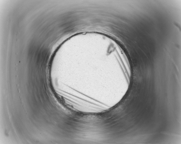 X0000101471517200808041053